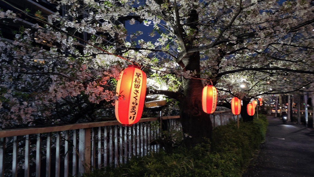 Image rb_sakura_2025-04-13-kanda03.jpeg