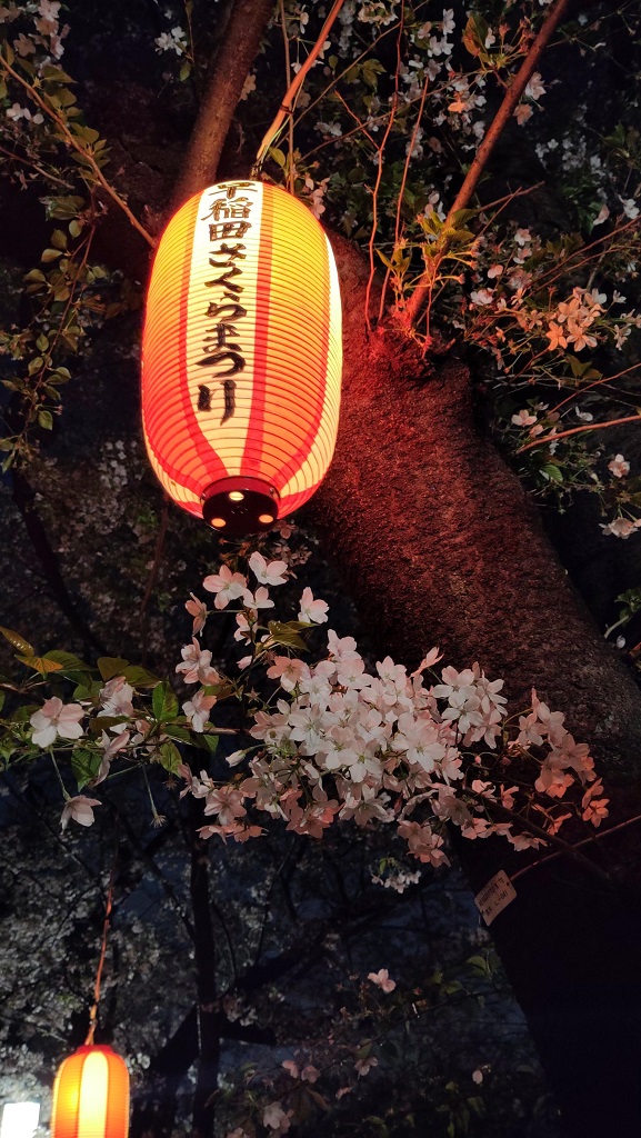 Image rb_sakura_2025-04-13-kanda04.jpeg